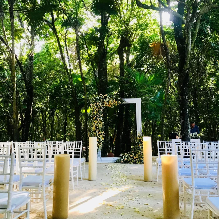Jungle venue shared between Iberostar Waves Tucan and Quetzal