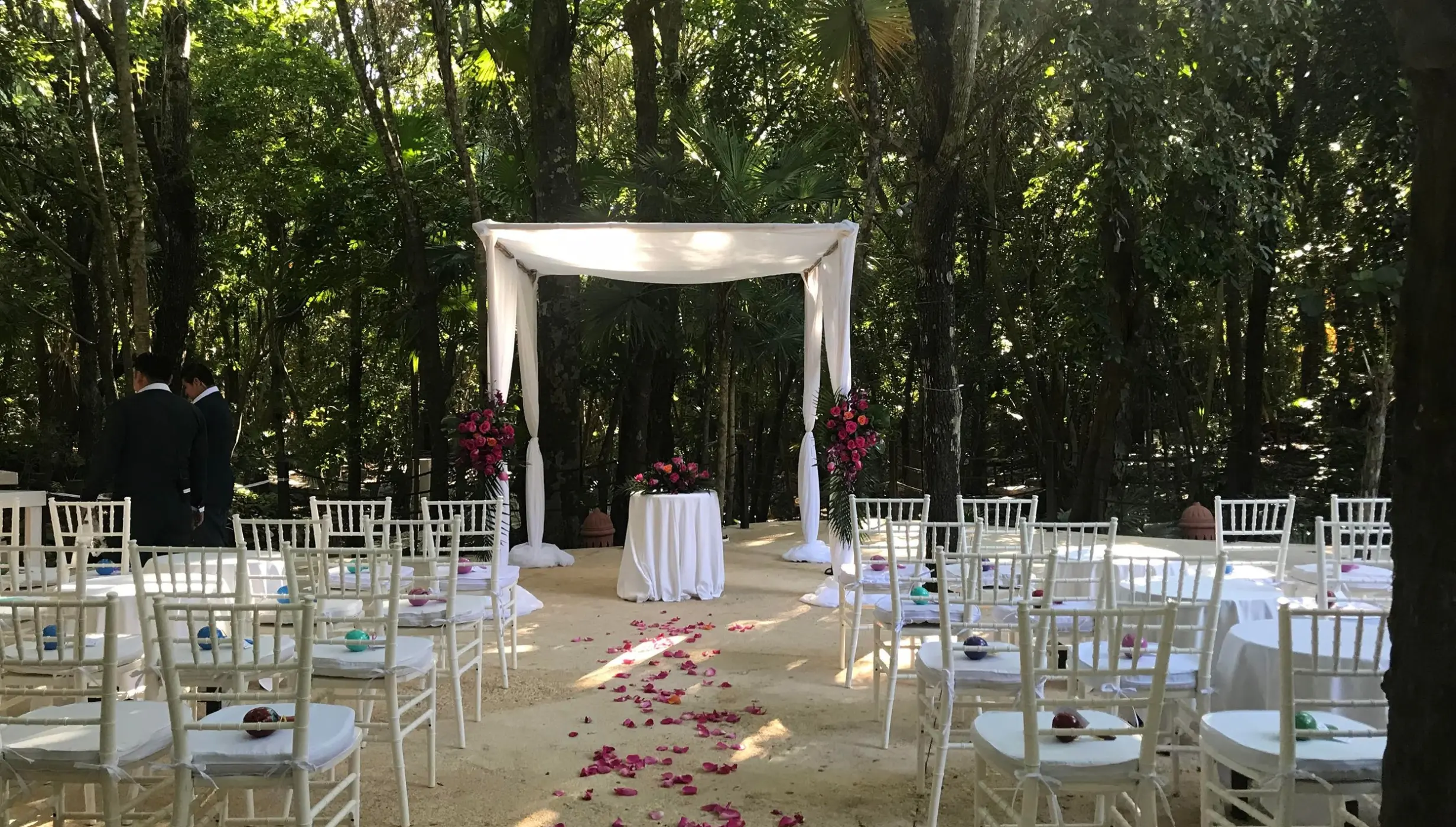 Jungle venue shared between Iberostar Waves Tucan and Quetzal