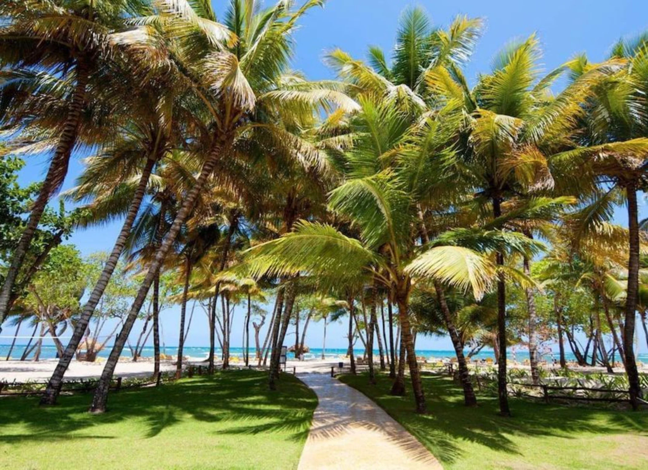 athway to the beach at Iberostar Waves Costa Dorada