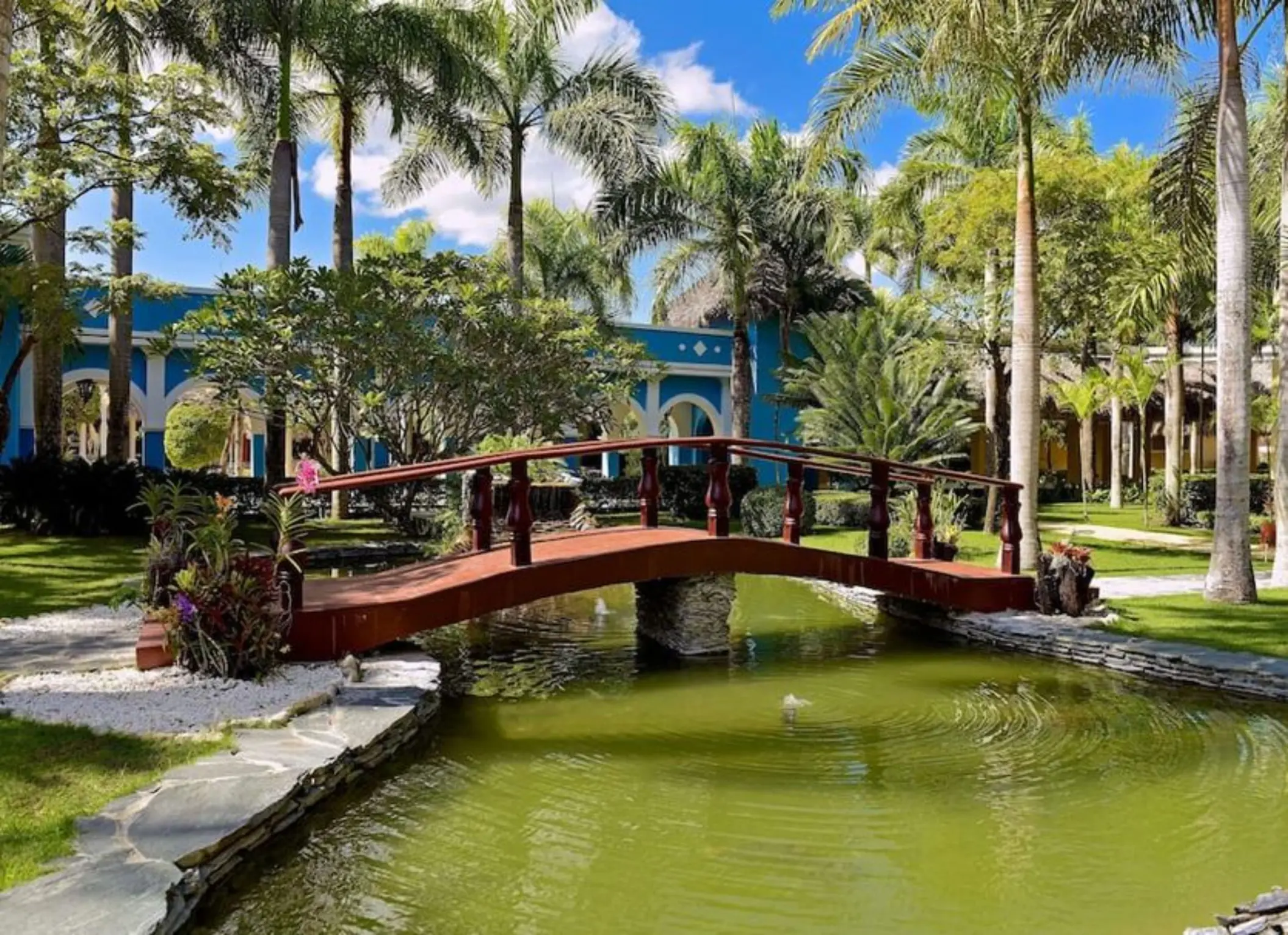 Wooden footbridge over a pond on the resort grounds at Iberostar Waves Costa Dorada, Puerto Plata