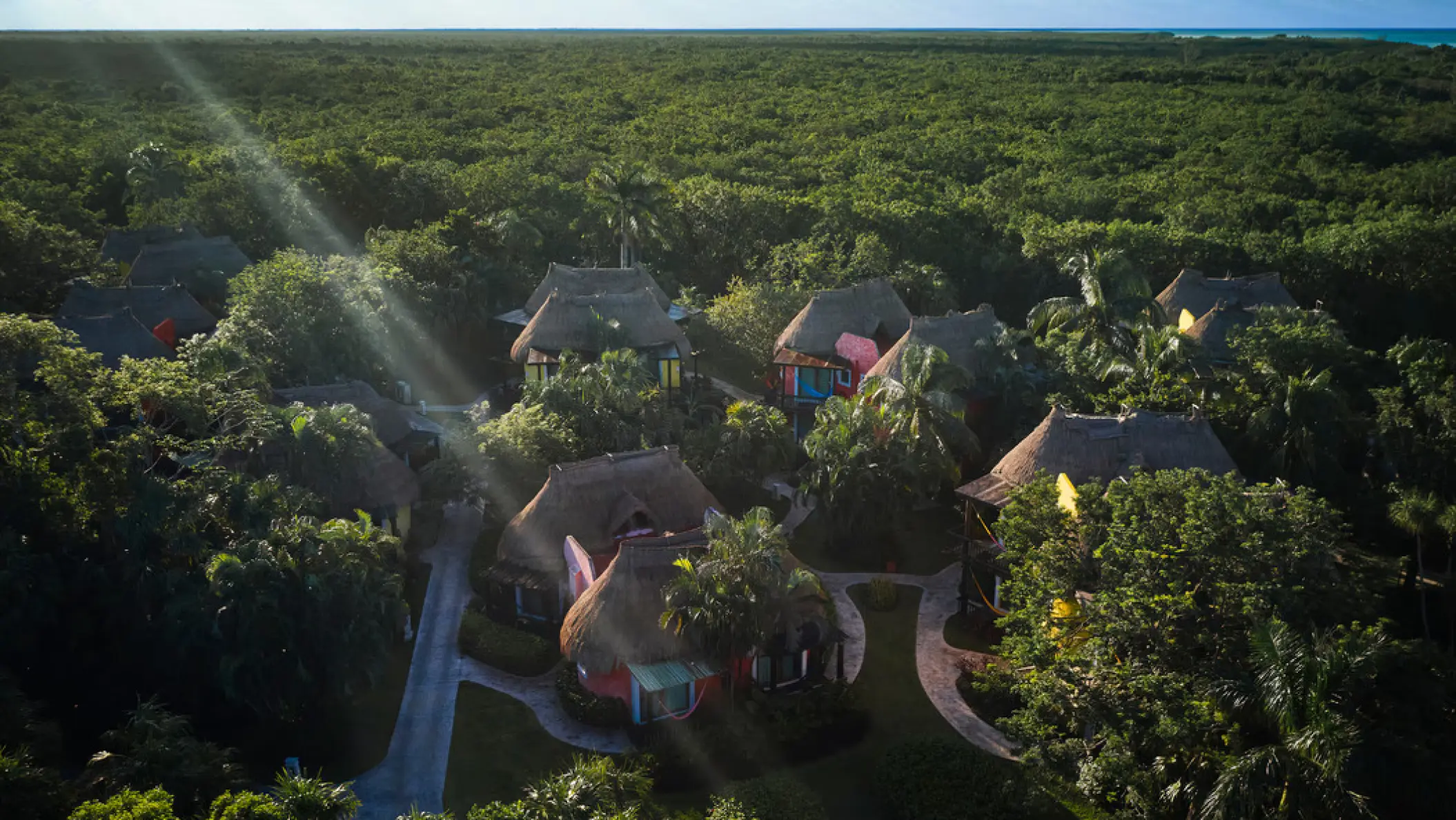 Aerial view of bungalow roofs nestled in lush jungle at Iberostar Waves Cozumel