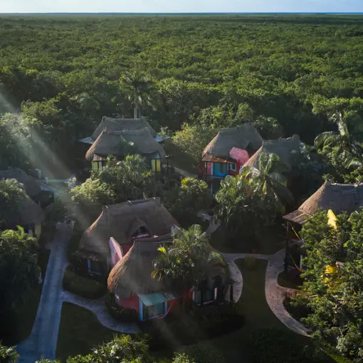 Aerial view of bungalow roofs nestled in lush jungle at Iberostar Waves Cozumel