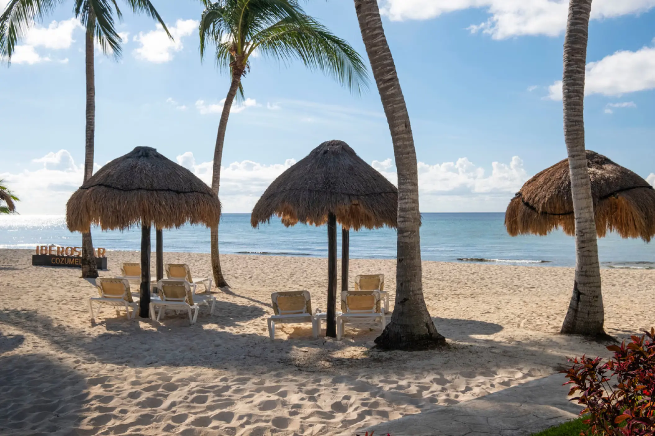 Beach palapas and lounge chairs under palm trees at Iberostar Waves Cozumel