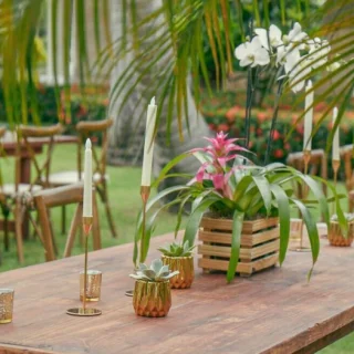 garden venue at Iberostar Waves Dominicana