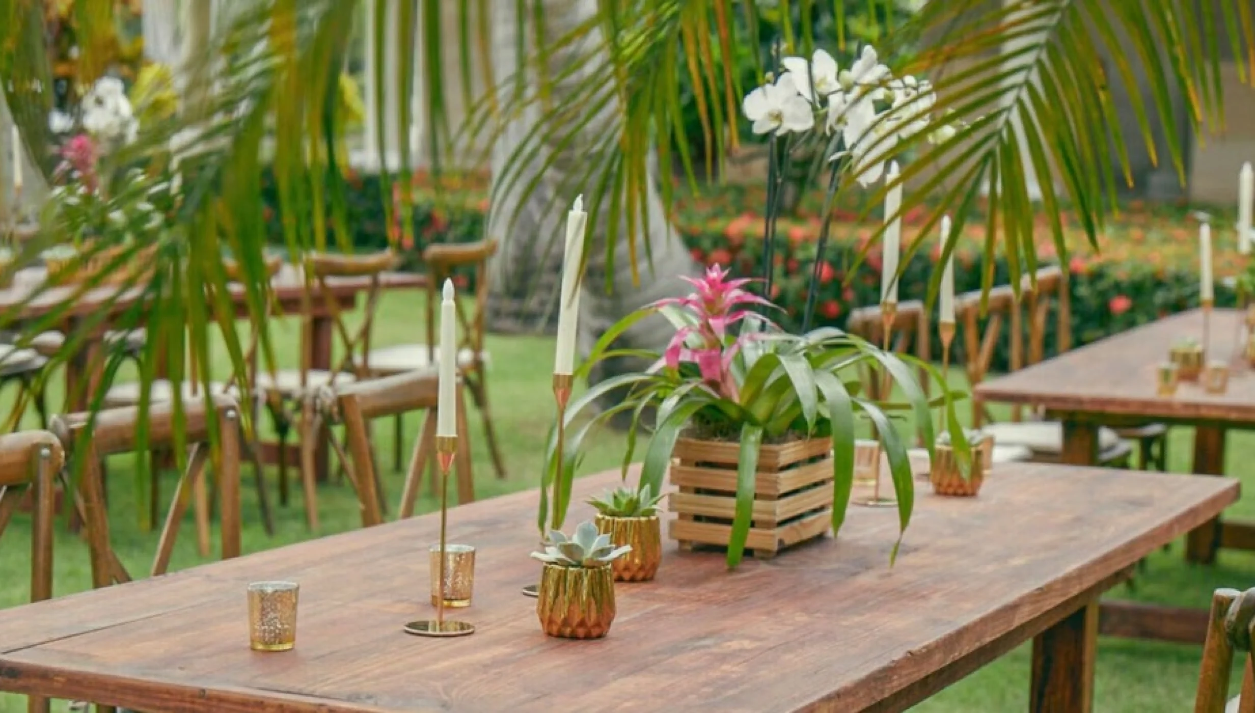 garden venue at Iberostar Waves Dominicana