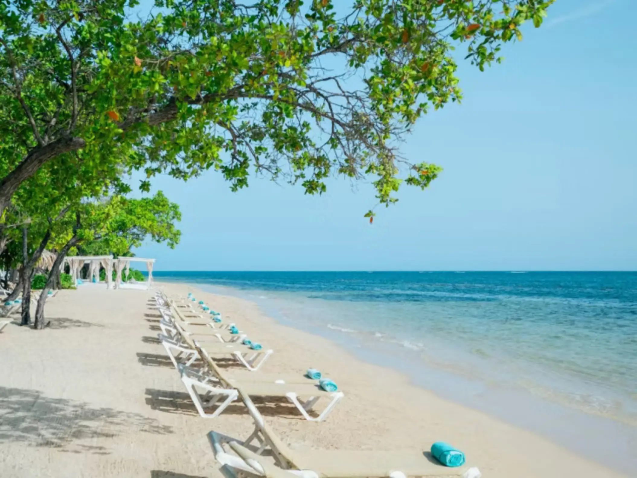 Iberostar Waves Rose Hall beach with lounge chairs under shade trees, Montego Bay