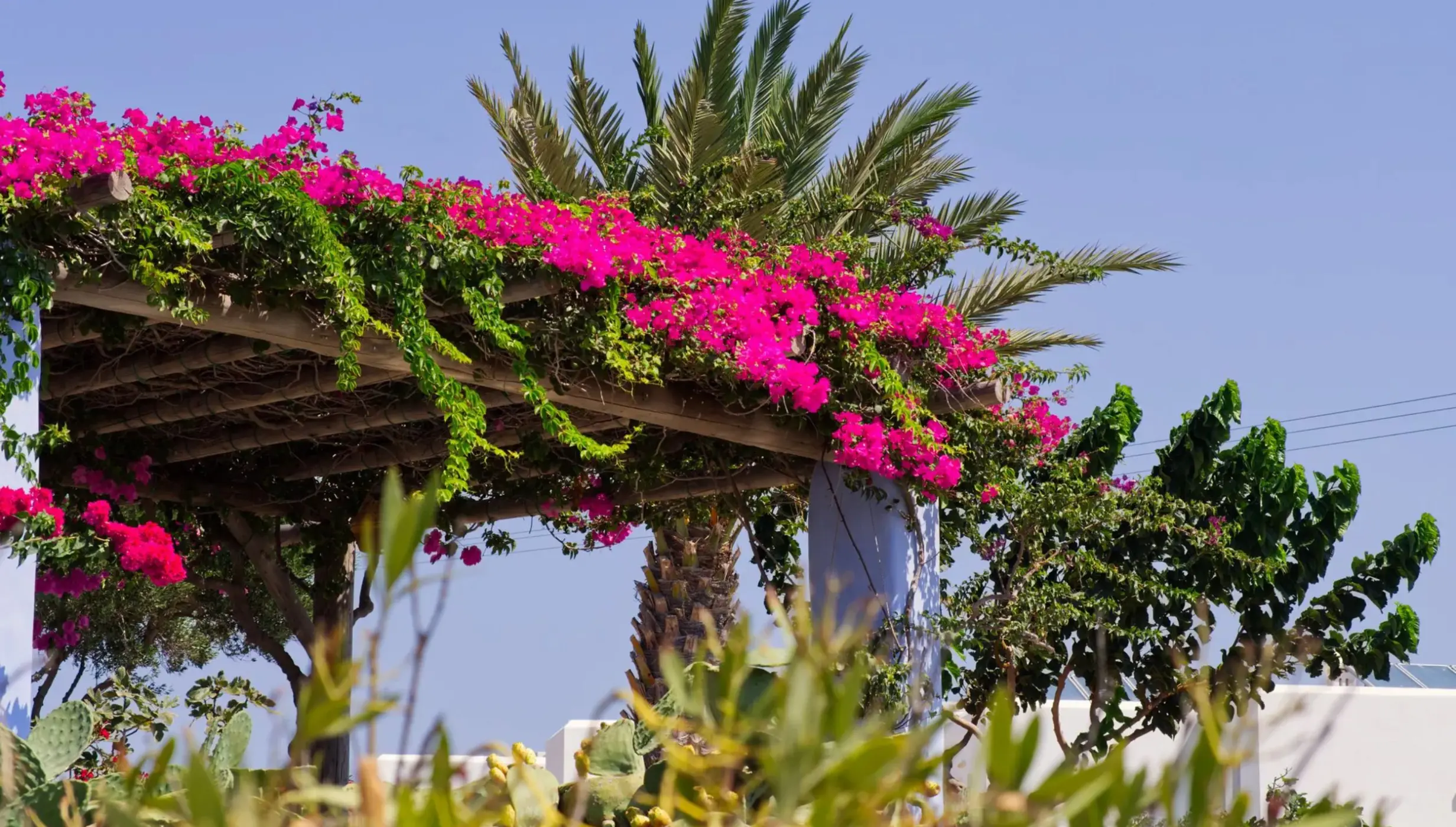 Garden Pergola venue at JOIA Rose Hall by Iberostar
