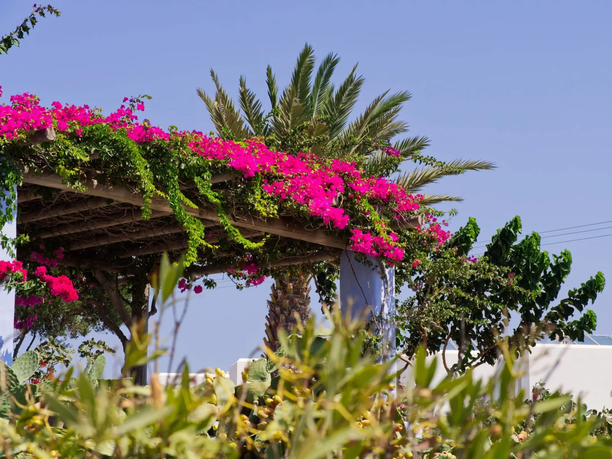 Garden Pergola venue at JOIA Rose Hall by Iberostar
