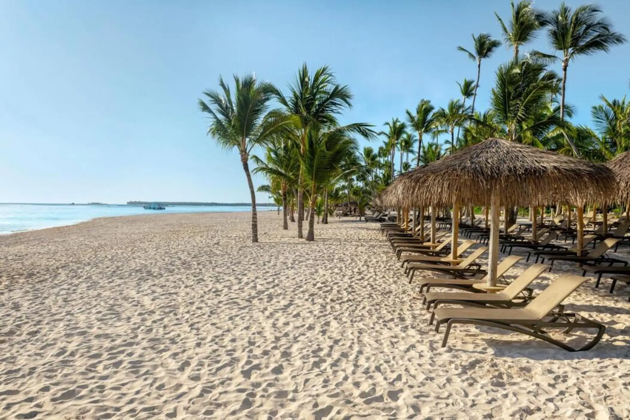 Palm tree-lined beach with thatched umbrellas and lounge chairs at Lopesan Costa Bavaro, Punta Cana