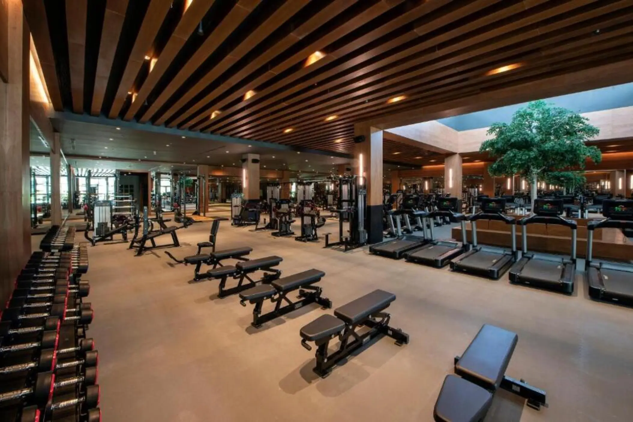 Modern fitness center with treadmills and weight benches at Lopesan Costa Bavaro, Punta Cana