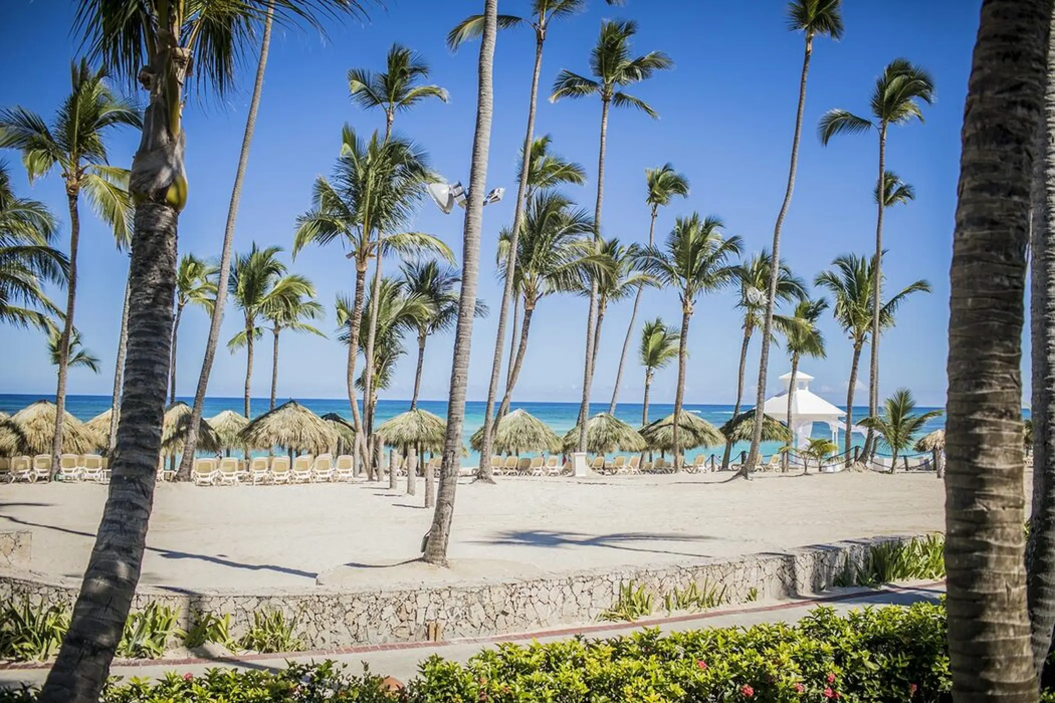 White sand beach with palm trees and a white wedding gazebo at Majestic Colonial, Punta Cana