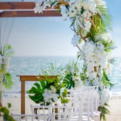 beach wedding setup at marival armony punta mita