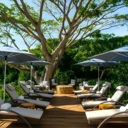 Canada Deck lounge area with sunbeds and umbrellas under a tree at Armony Marival, Puerto Vallarta