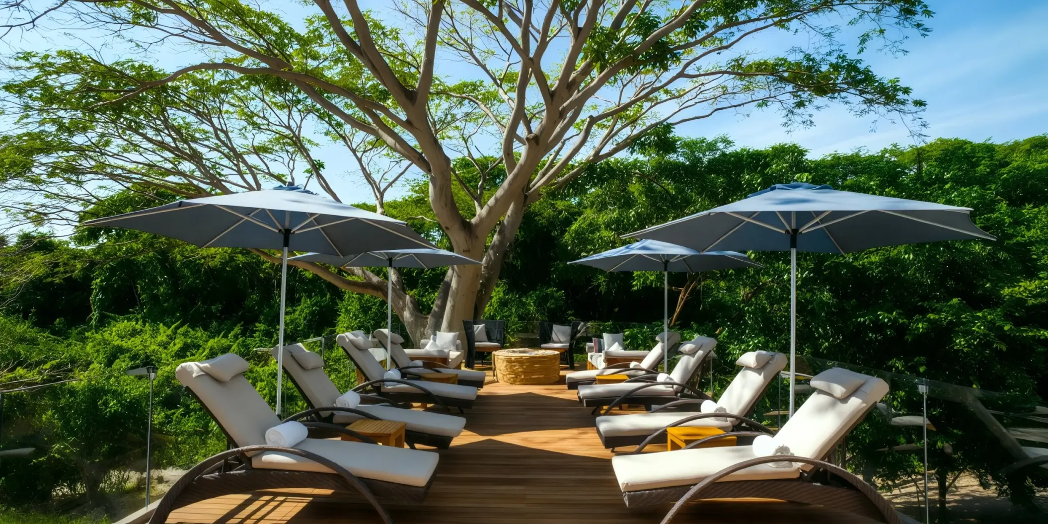 Canada Deck lounge area with sunbeds and umbrellas under a tree at Armony Marival, Puerto Vallarta