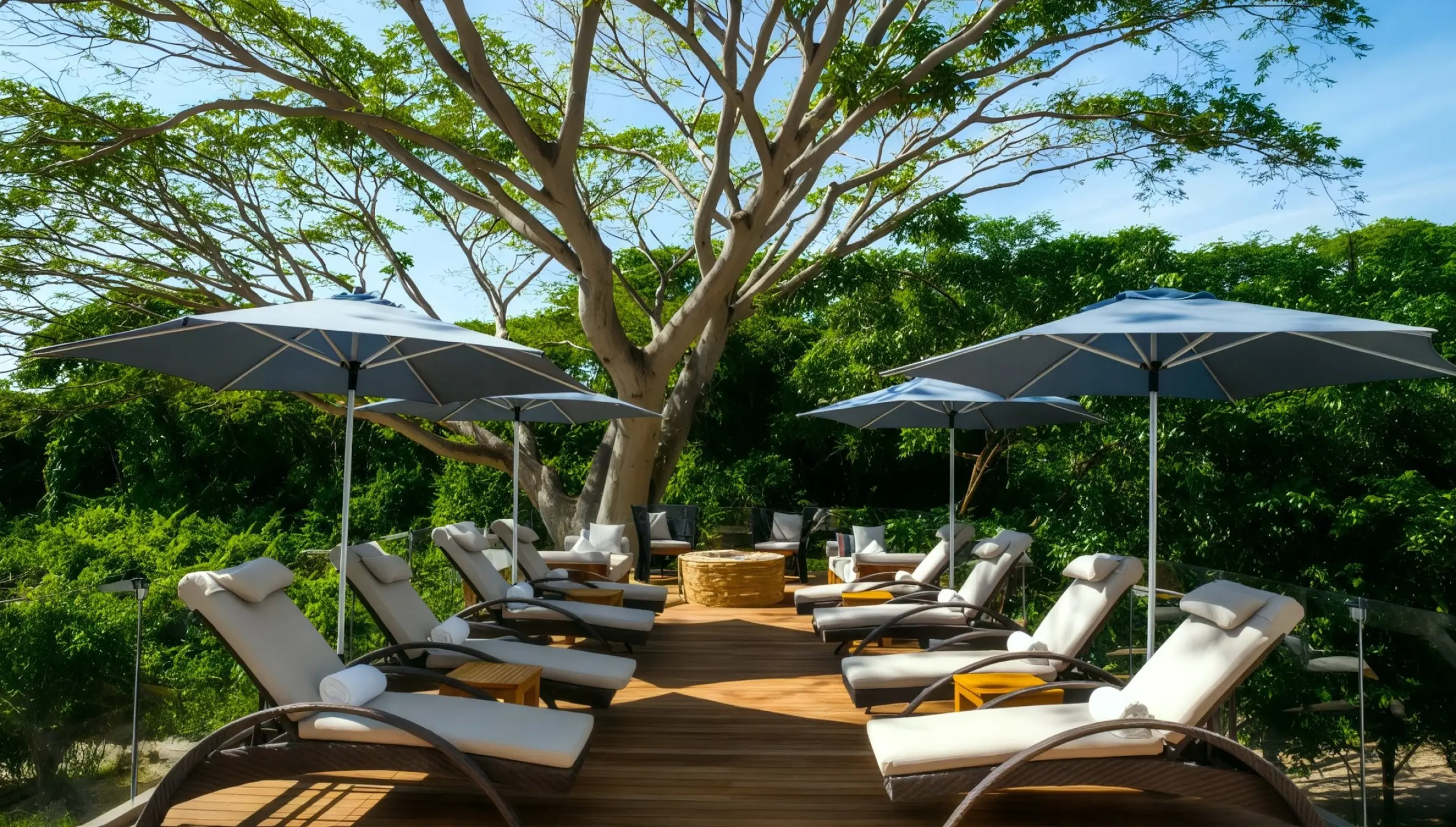 Canada Deck lounge area with sunbeds and umbrellas under a tree at Armony Marival, Puerto Vallarta
