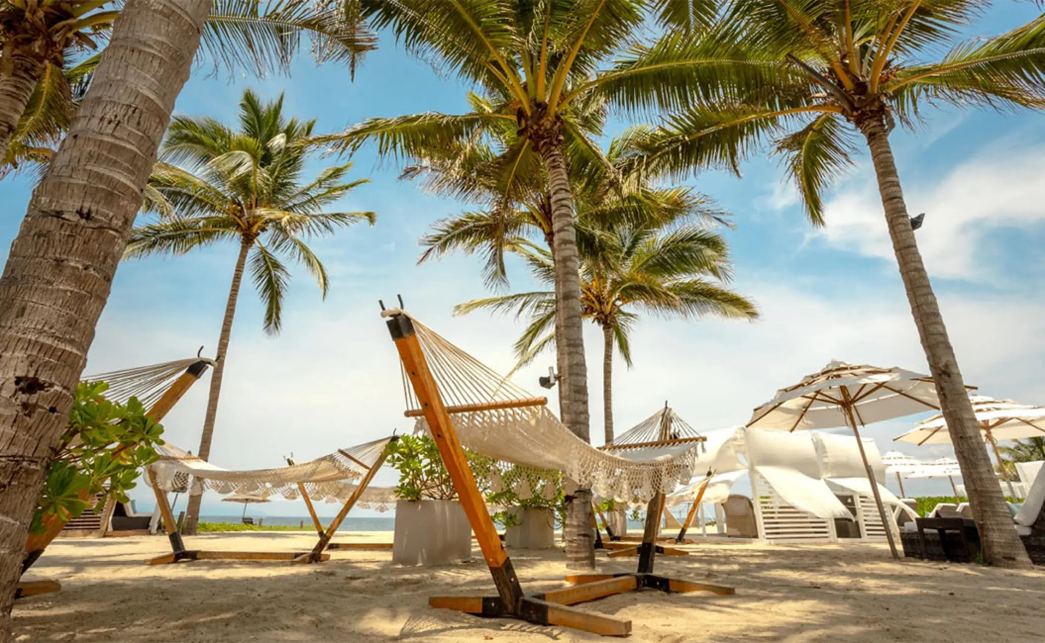 White hammocks and beach umbrellas under palm trees at Marival Distinct, Puerto Vallarta