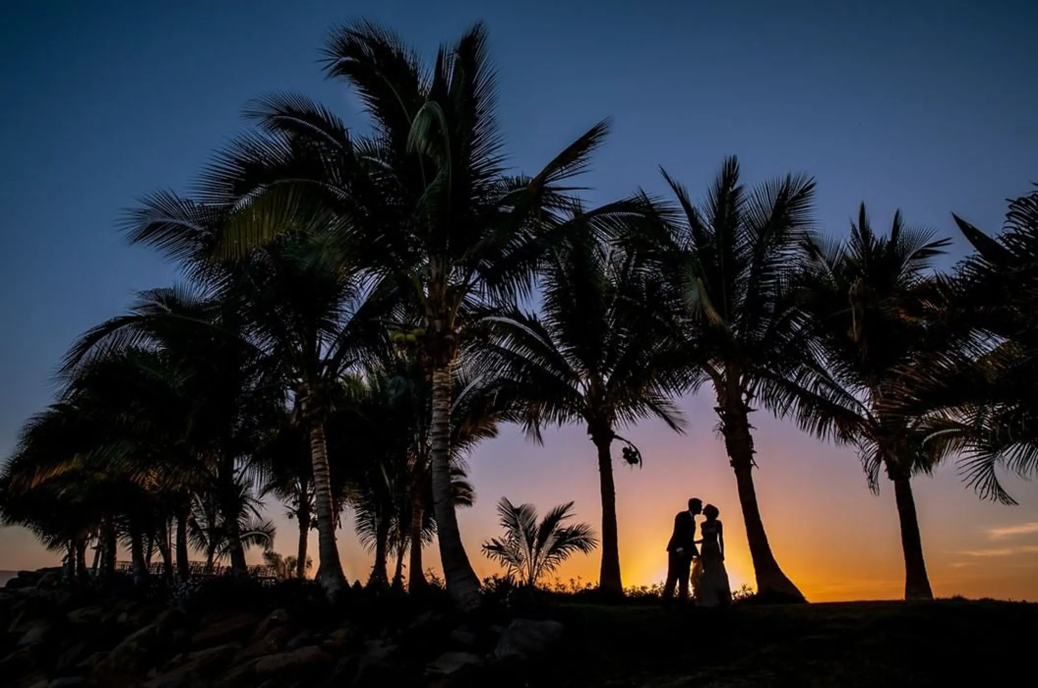 Silhouette of a couple kissing under palm trees at sunset, Marriott Puerto Vallarta