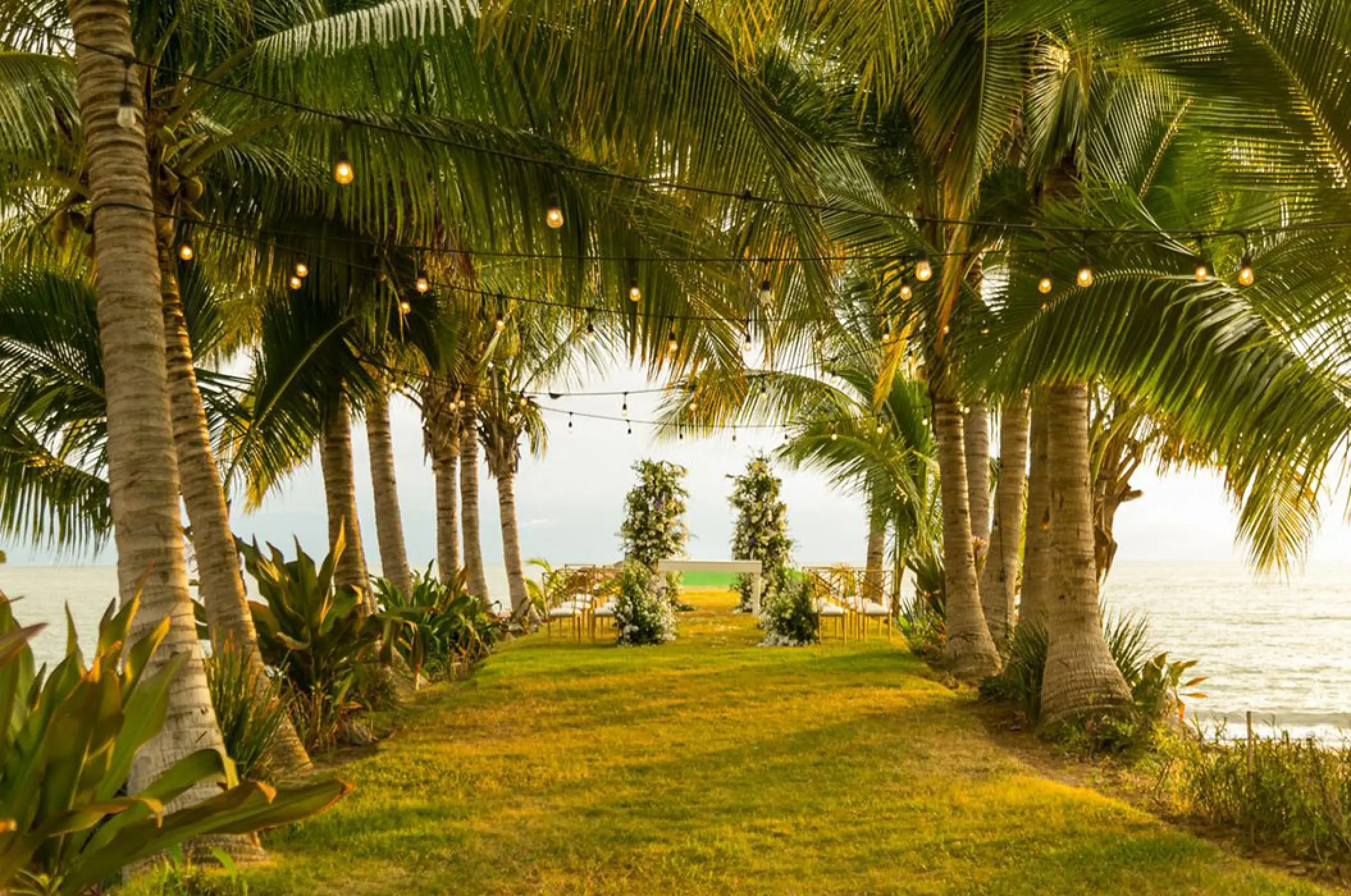 Garden wedding ceremony setup under palm trees at Marriott Puerto Vallarta, Puerto Vallarta