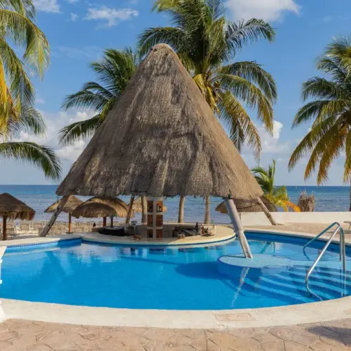 Swim-up bar with thatched roof at the Melia Cozumel pool, Cozumel