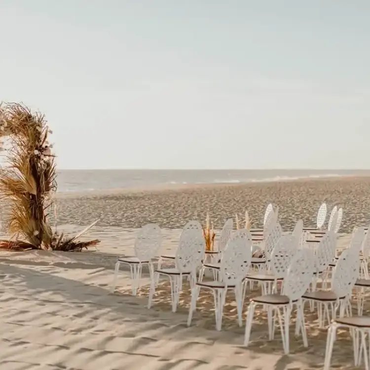 Beachfront wedding ceremony with pampas grass arch and white chairs at Nobu Hotel Los Cabos, Cabo San Lucas