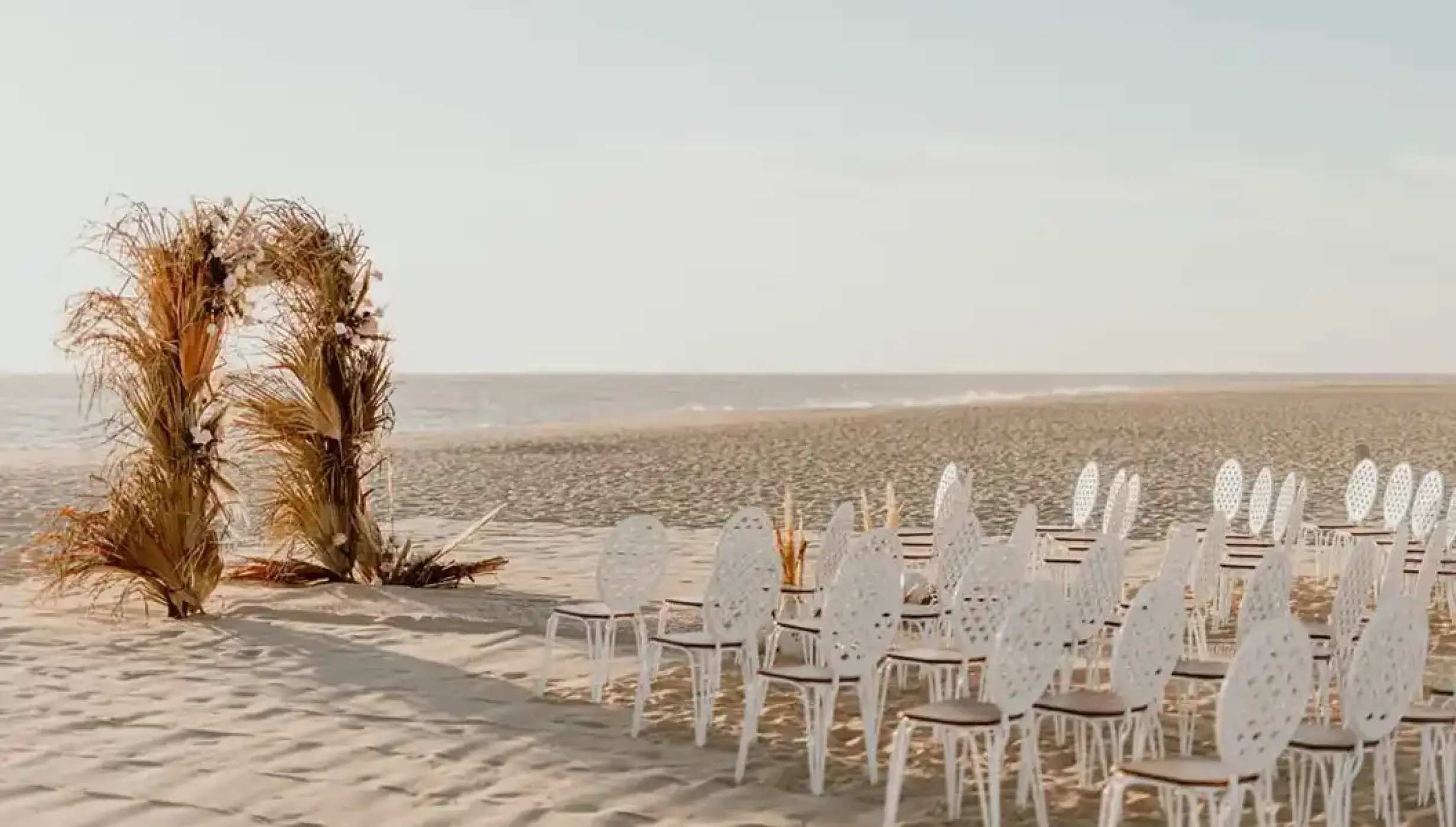 Beachfront wedding ceremony with pampas grass arch and white chairs at Nobu Hotel Los Cabos, Cabo San Lucas