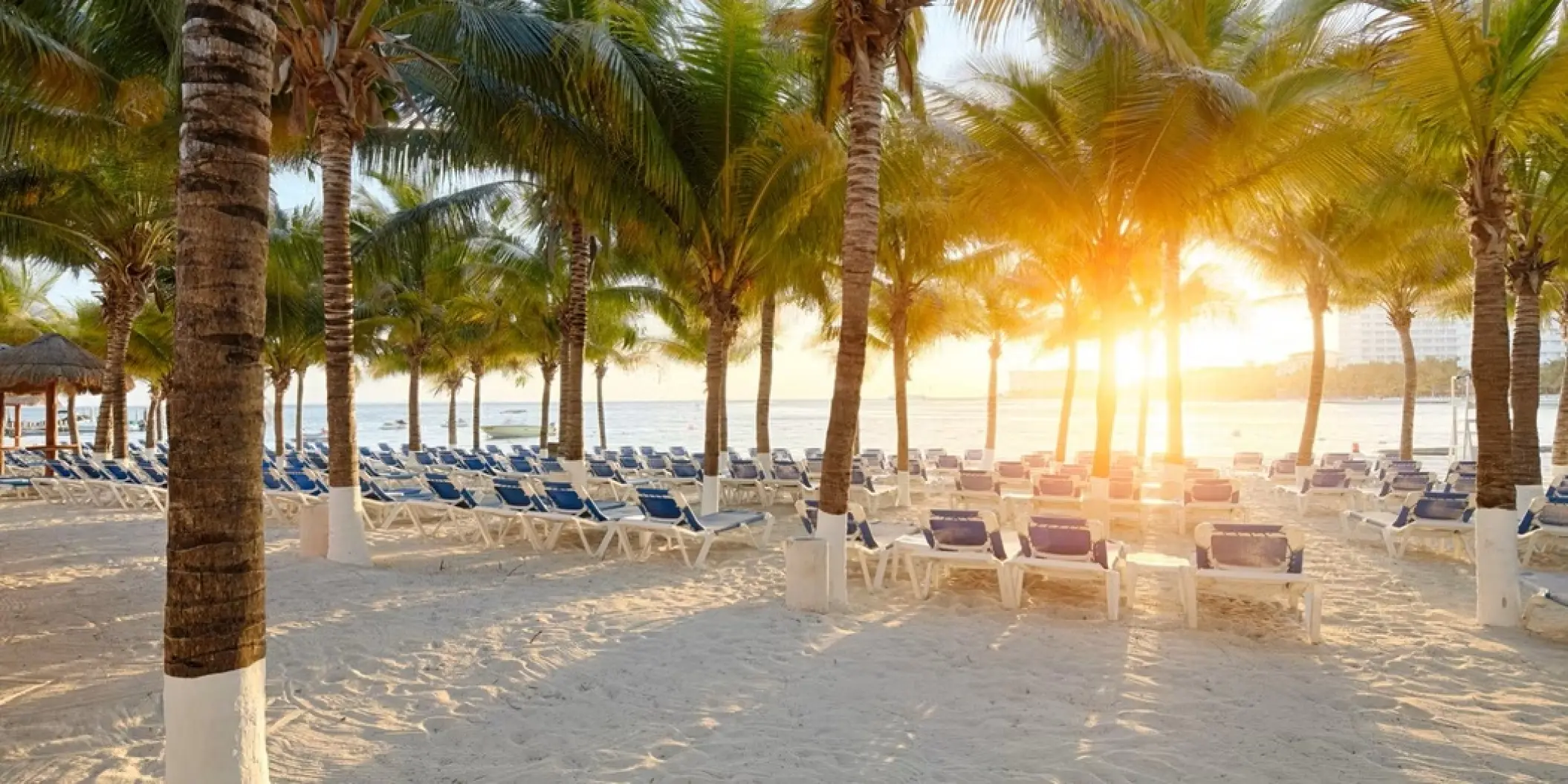 Sunset over rows of blue lounge chairs on the beach at Occidental Costa Cancun, Cancun