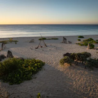 Beach temple venue at Palmaia the house of Aia