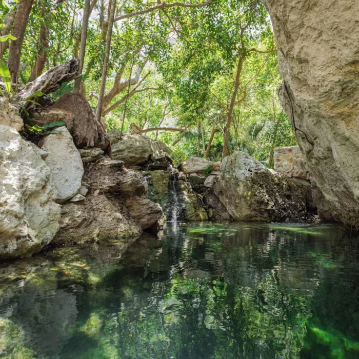 Cenote at Palmaia - The House of AiA