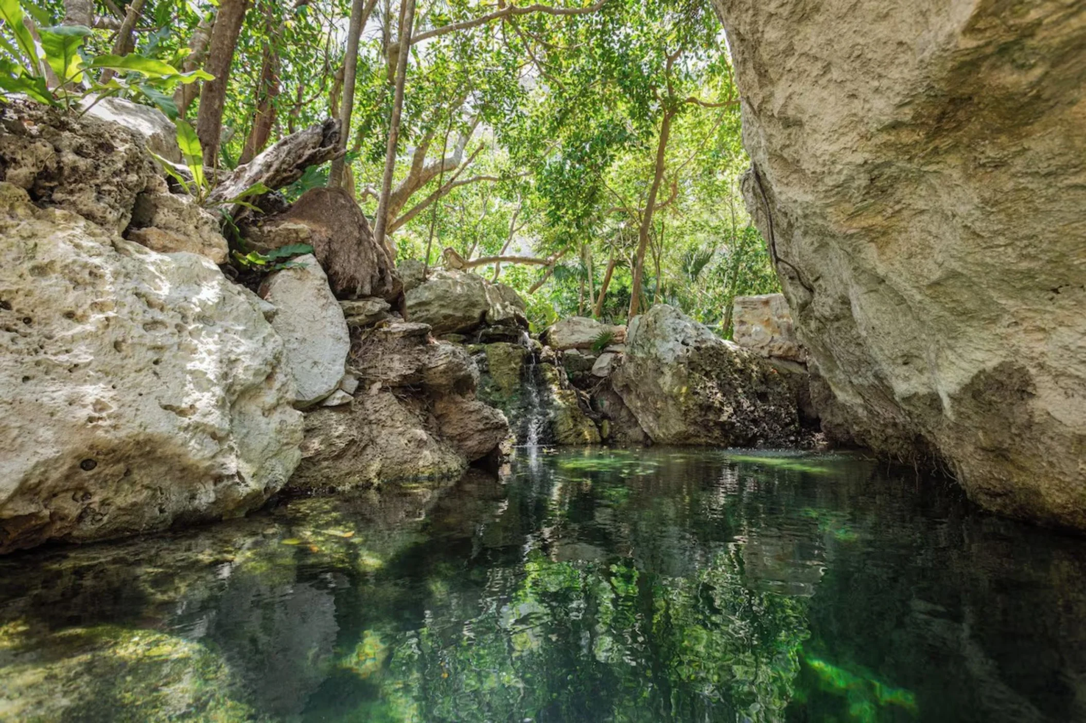 Cenote at Palmaia - The House of AiA