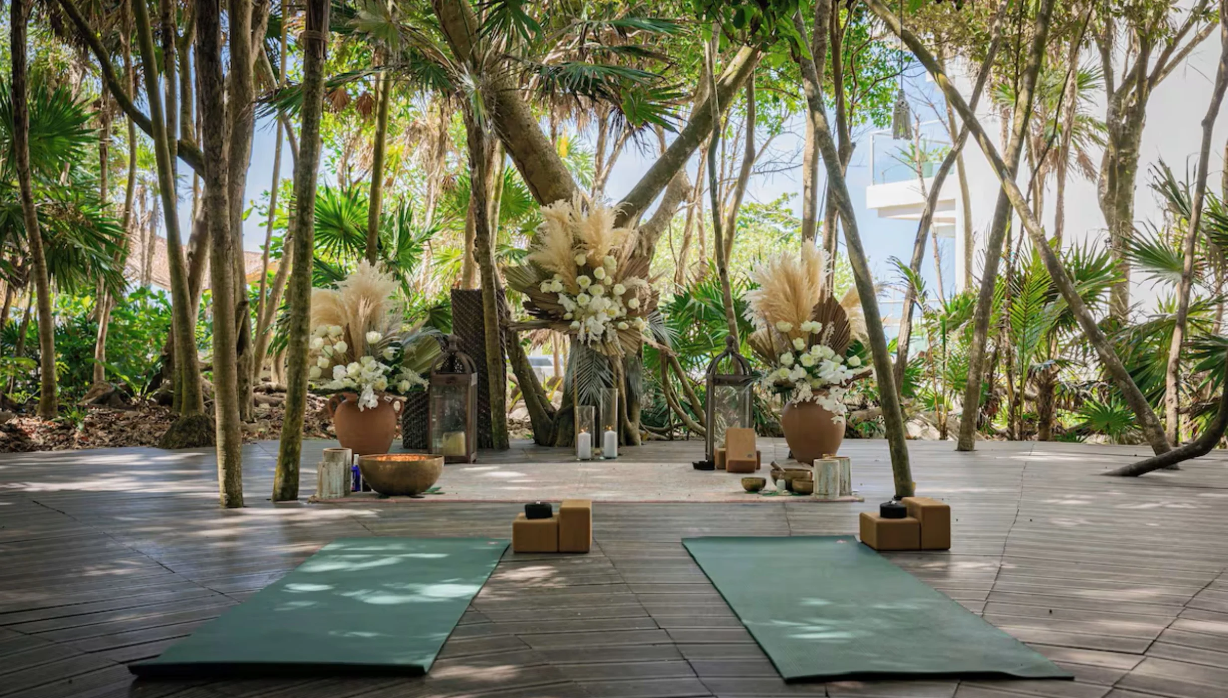 Mangrove venue at Palmaïa – The House of AïA