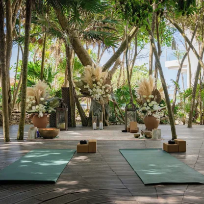 Mangrove venue at Palmaïa – The House of AïA