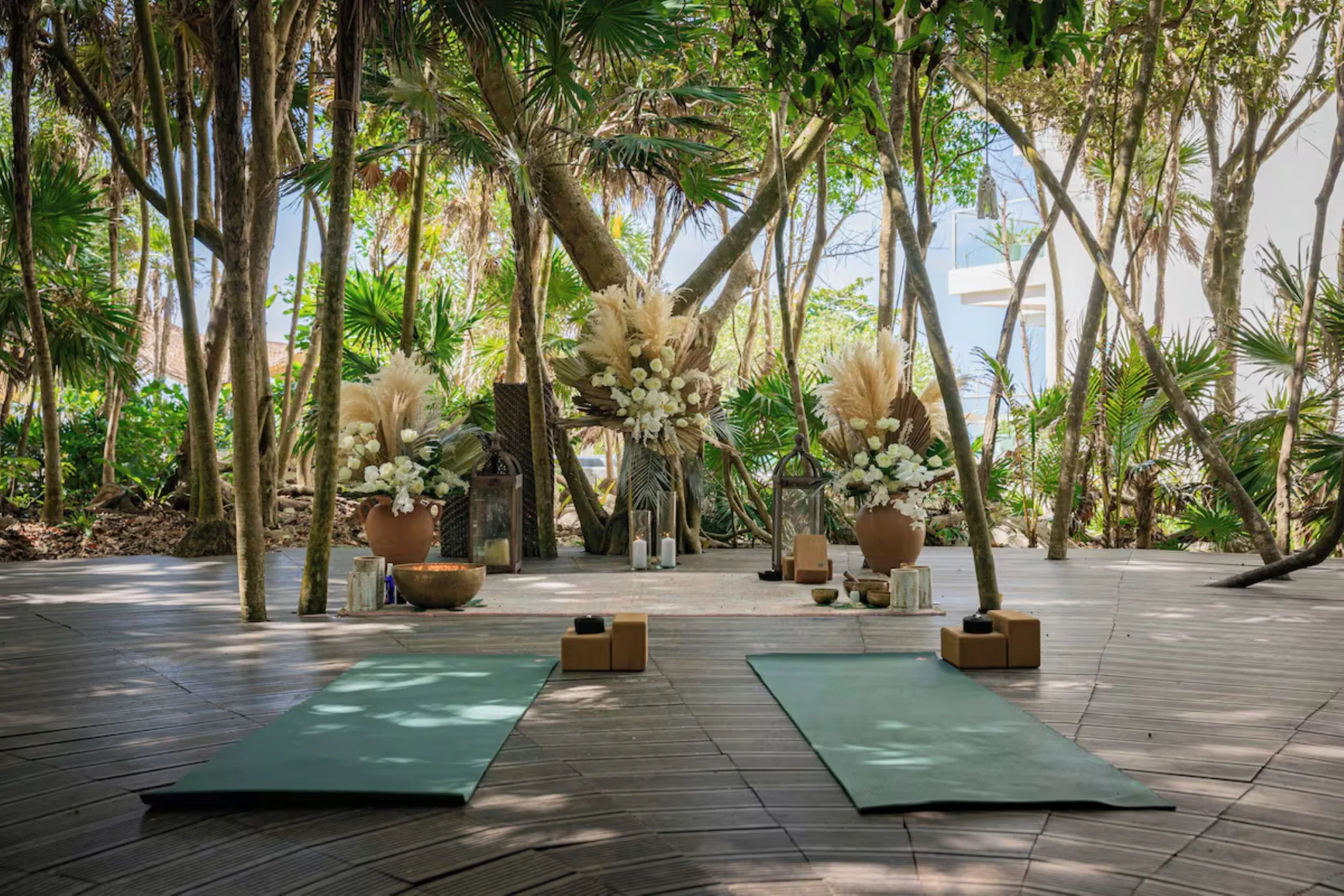 Mangrove venue at Palmaïa – The House of AïA