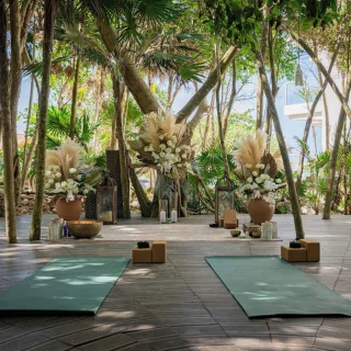Mangrove venue at Palmaïa – The House of AïA