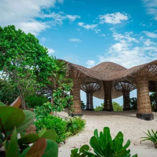 Mushroom venue at Palmaia the house of AiA