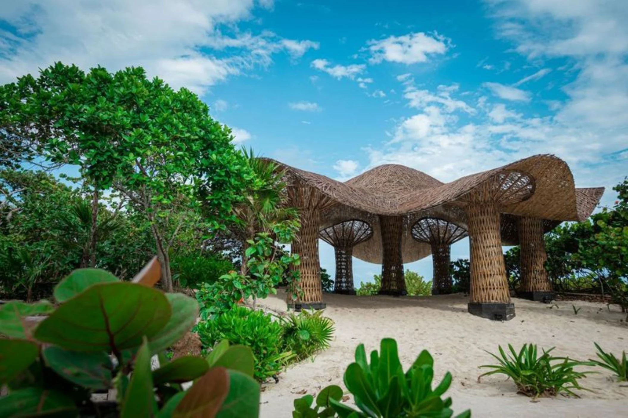 Mushroom venue at Palmaia the house of AiA
