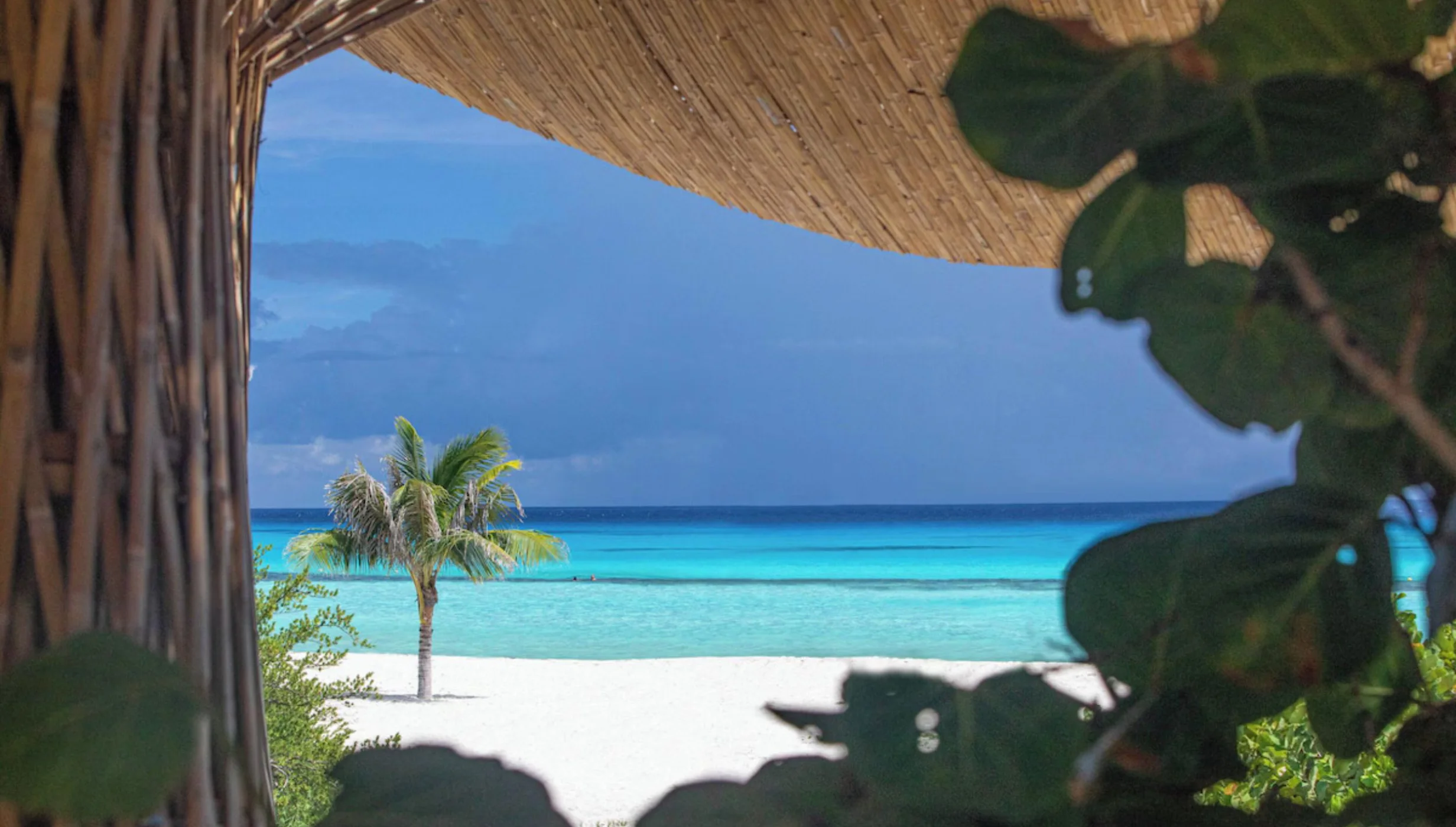 view of the beach from Palmaia - The House of AiA