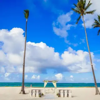 Beach wedding ceremony setup under palm trees at Paradisus Palma Real, Punta Cana
