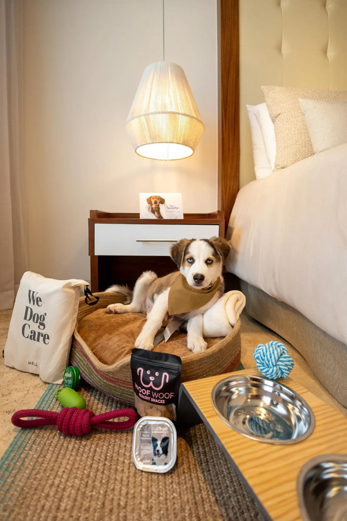 Pet-friendly room amenities including a dog bed, toys, and treats at Paradisus Playa Del Carmen