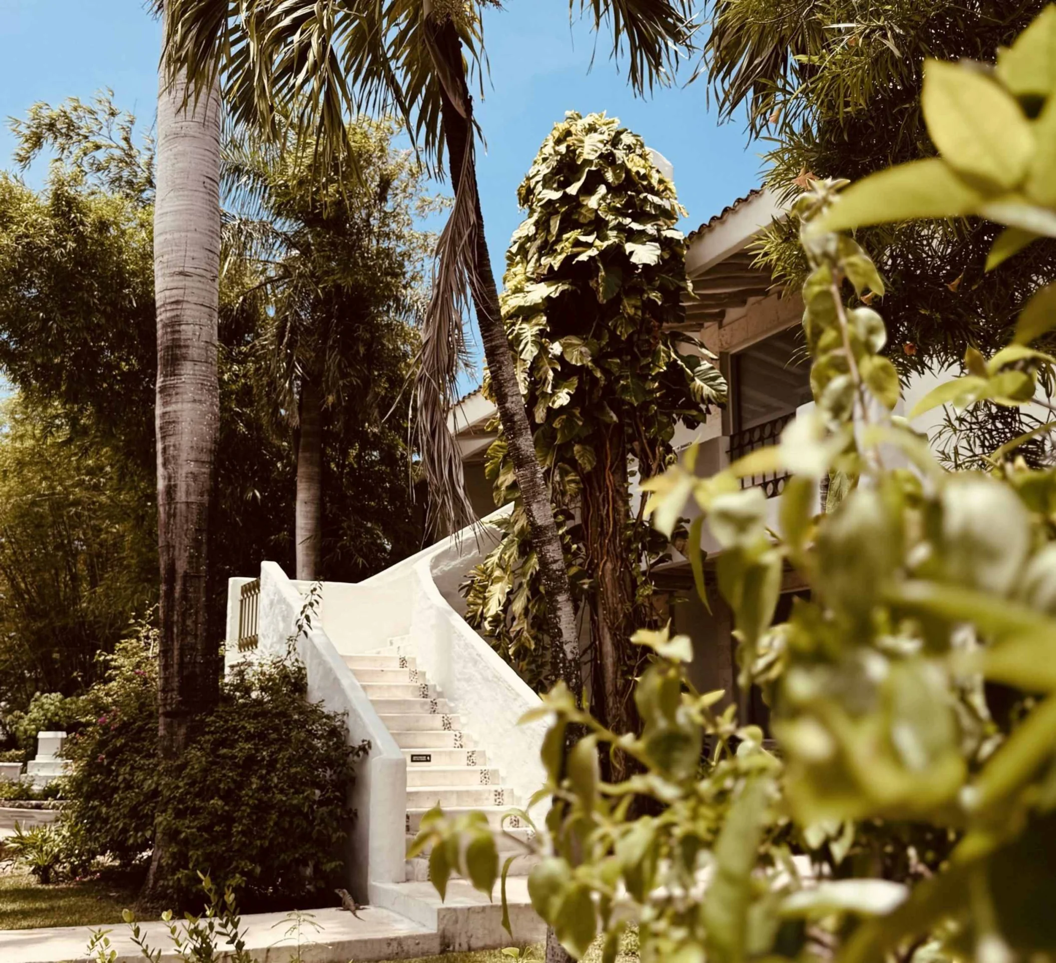 Paraiso de la Bonita Riviera Maya resort grounds