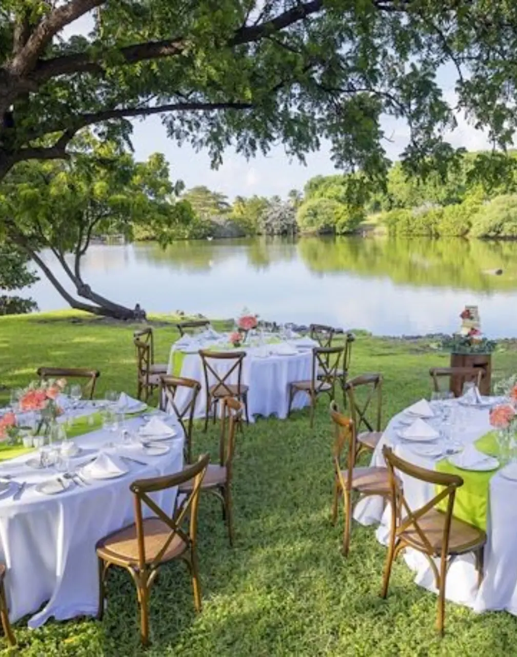 Garden wedding reception under a large tree by the lake at Royalton Grenada, St. George’s