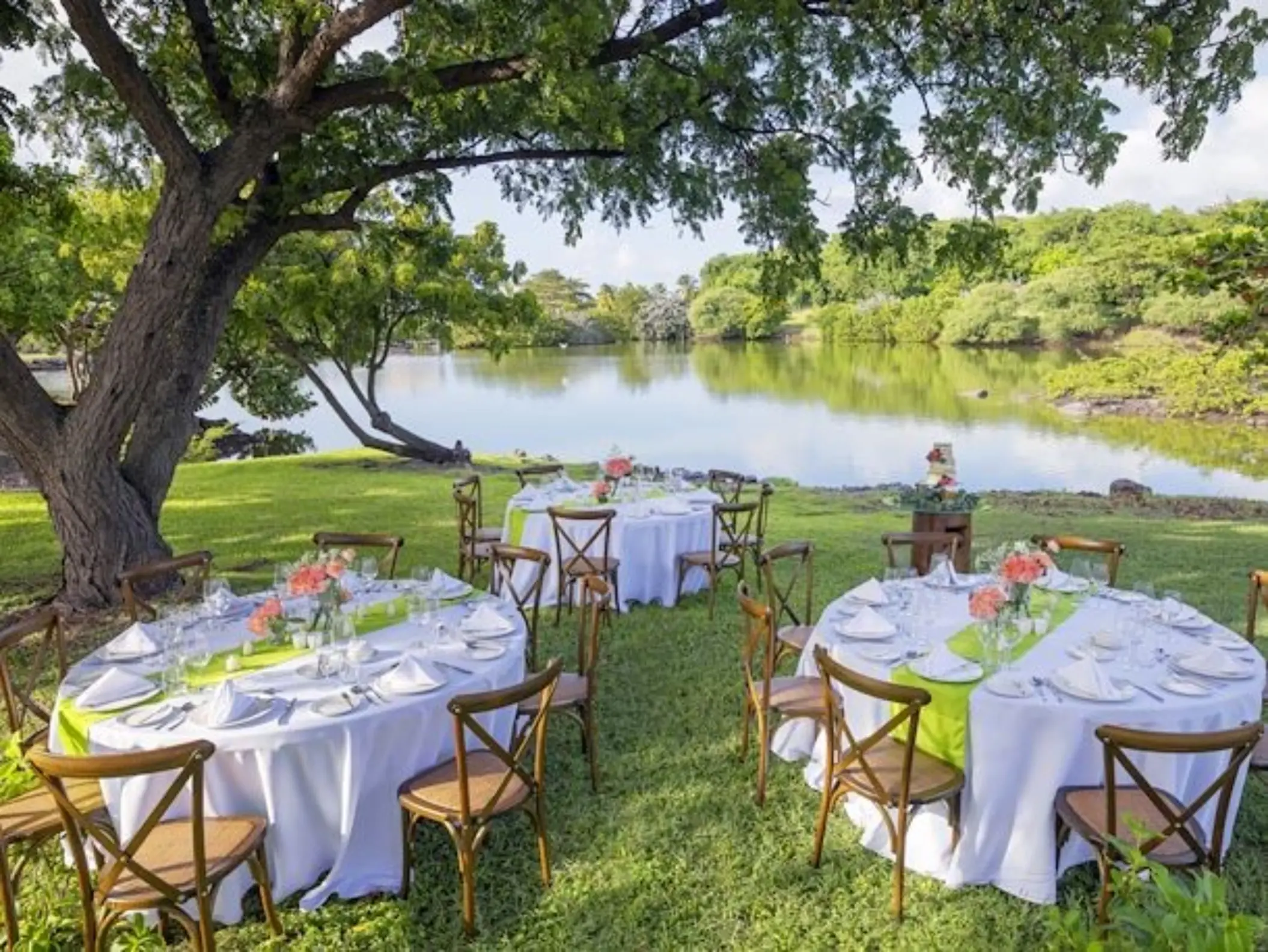 Garden wedding reception under a large tree by the lake at Royalton Grenada, St. George’s