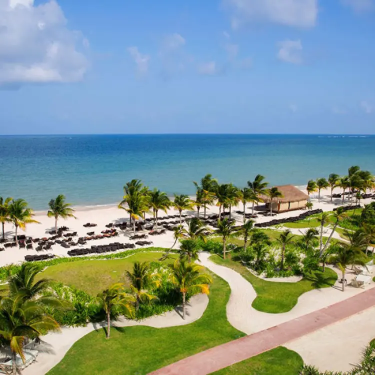 Palm trees and white sand beach at Royalton Riviera Cancun