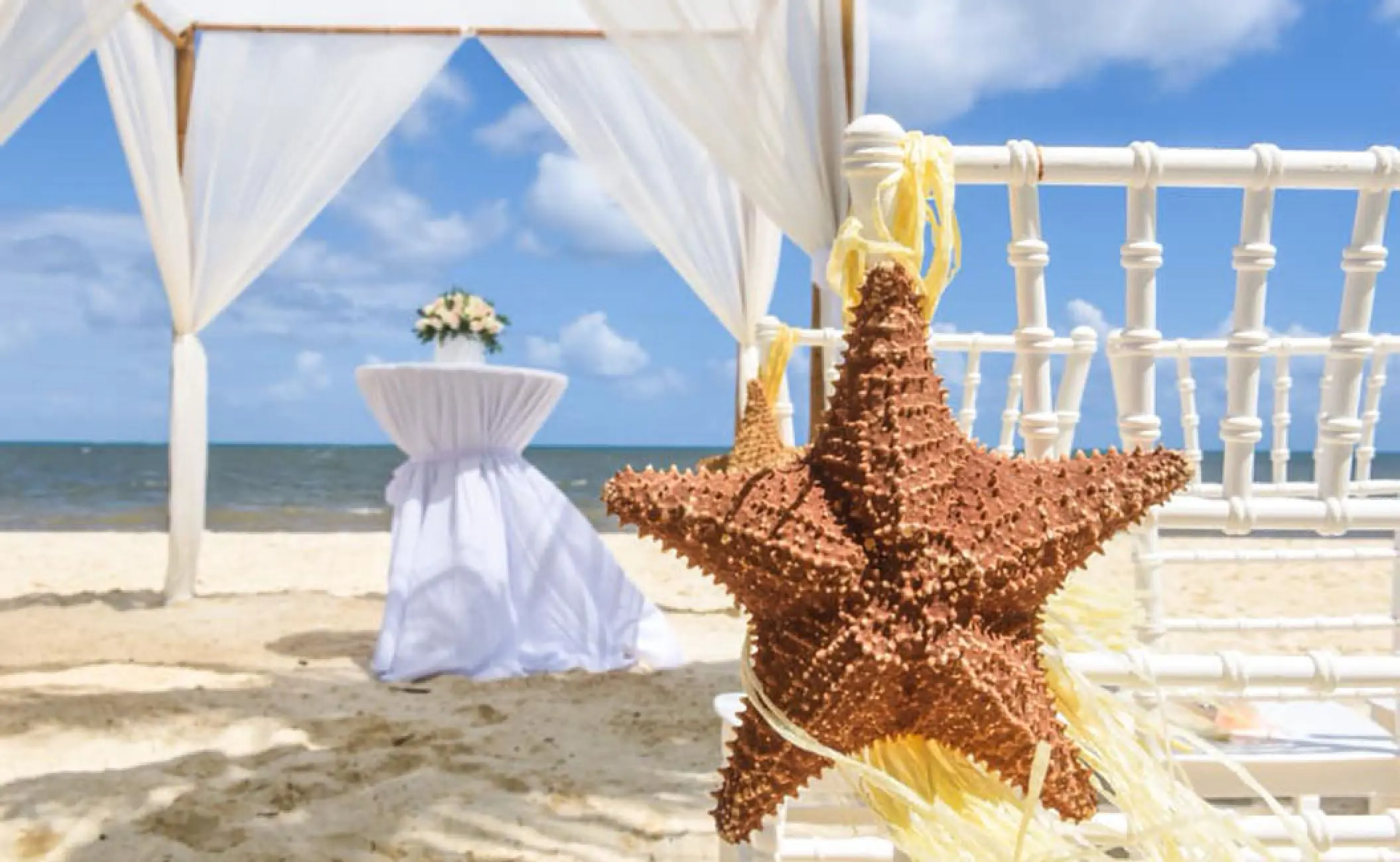 Starfish decor on a white chair for a beach ceremony at Royalton Riviera Cancun, Cancun