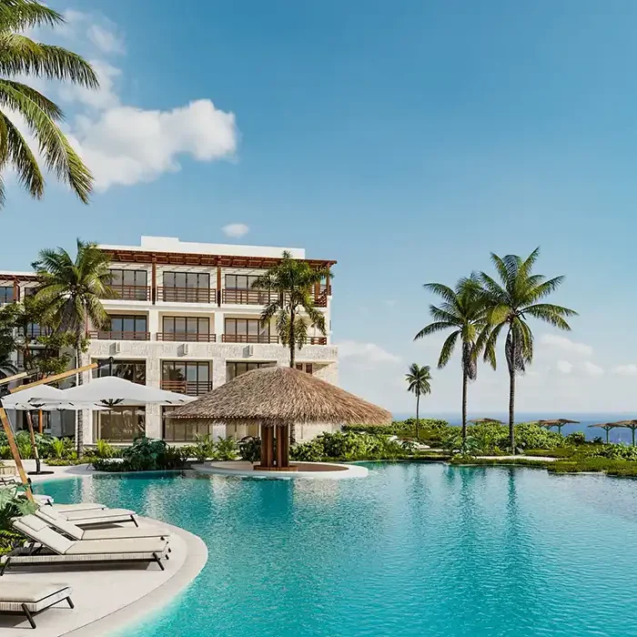 Manatees swim up bar at Secrets Playa Blanca Resort