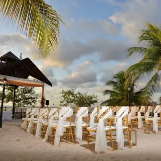 Beach wedding ceremony setup with white draped chairs under palm trees at Secrets St James, Montego Bay