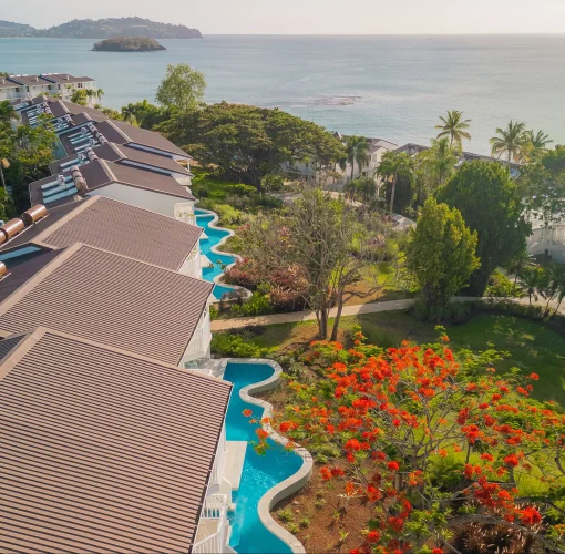 An aerial view of a resort with swim-up suites and lush greenery leading to the ocean.