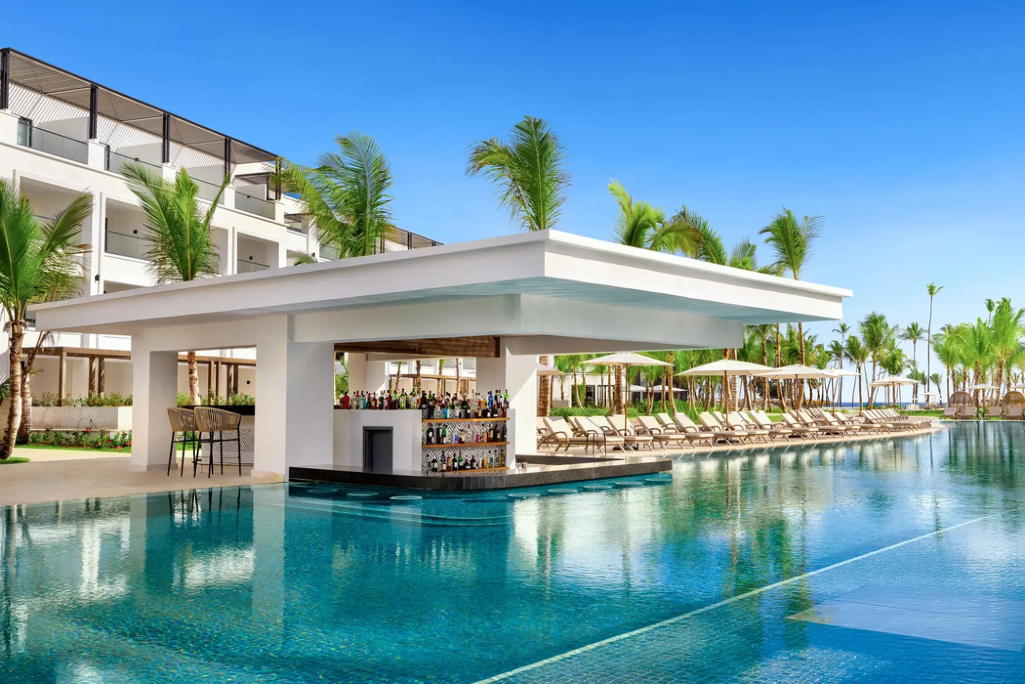 manatees swim up bar at Secrets Tides Punta Cana