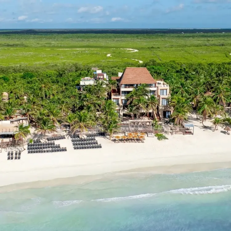 Aerial view of Casa Zamna Beach Club at Secrets Tulum surrounded by tropical jungle and white sand beach