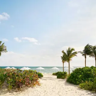 White sand beach with palm trees and sun umbrellas at SLS Playa Mujeres, Cancun