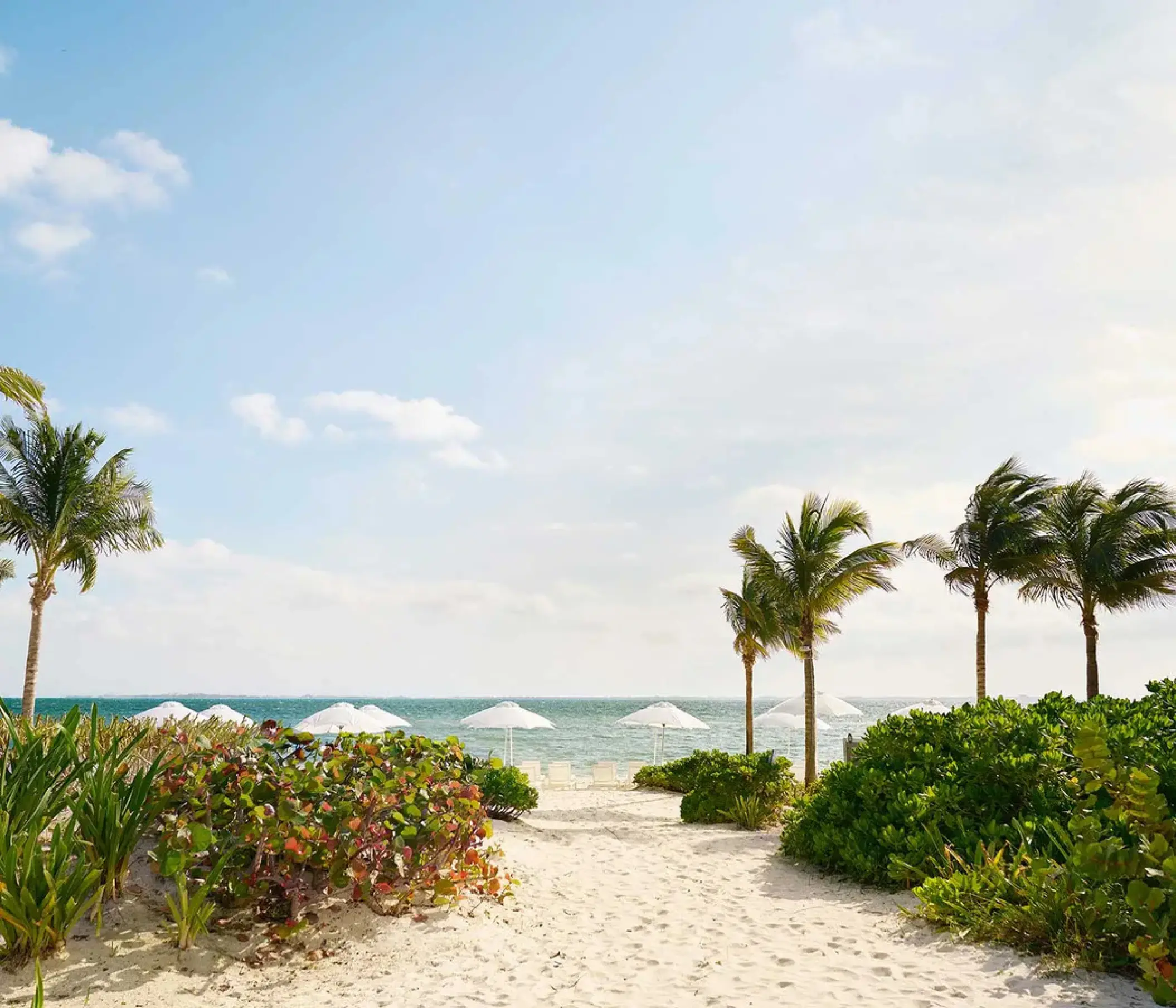 White sand beach with palm trees and sun umbrellas at SLS Playa Mujeres, Cancun
